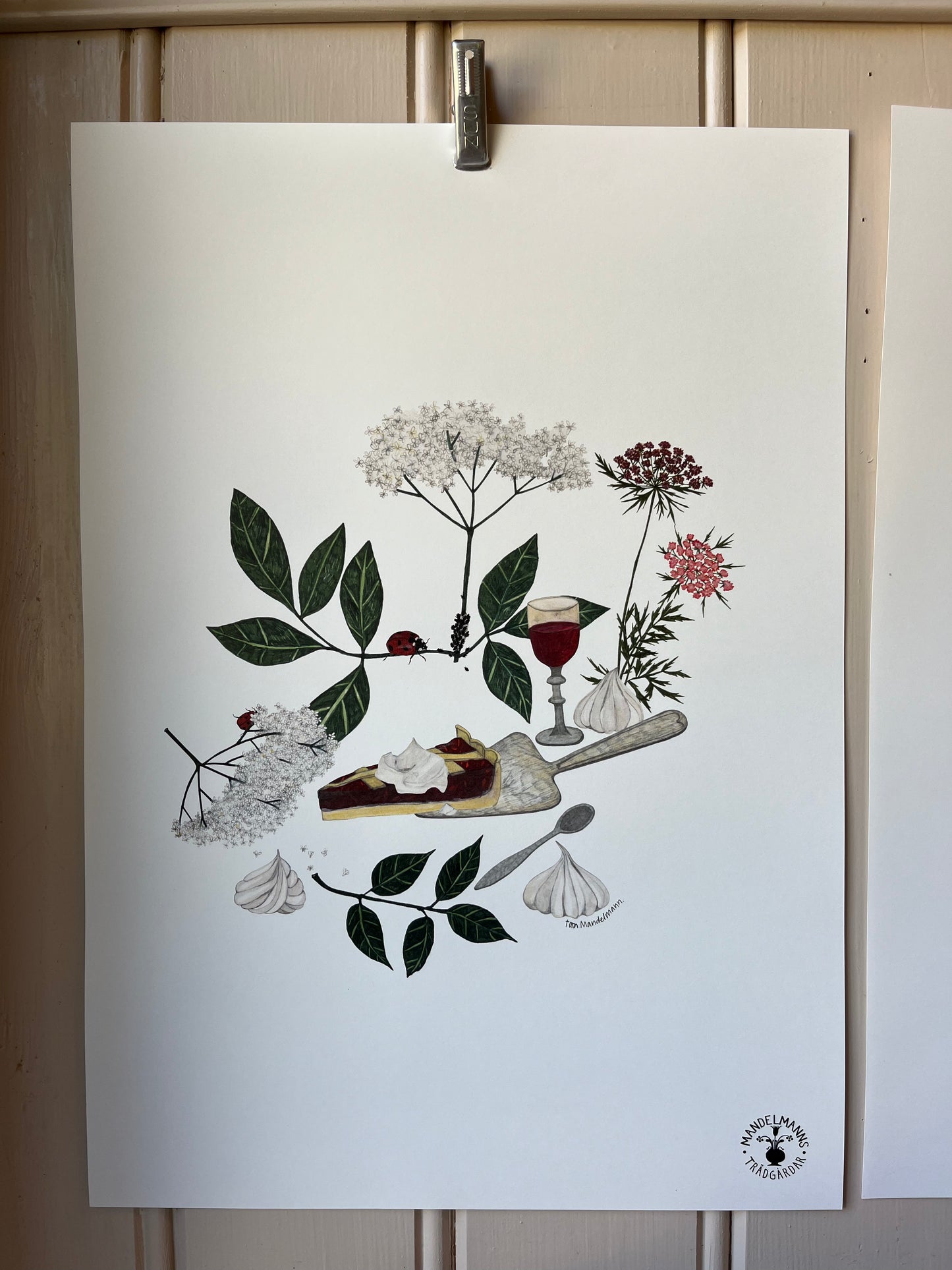 Poster Flädermaräng