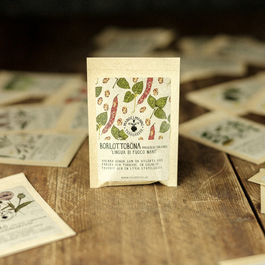 Borlottoböna 'Lingua di fuoco nano'