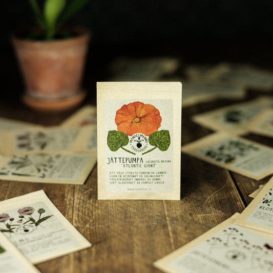 Nya fröer släpps under påsken