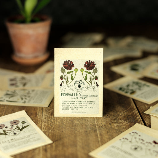 Pionvallmo ´Black Peony´