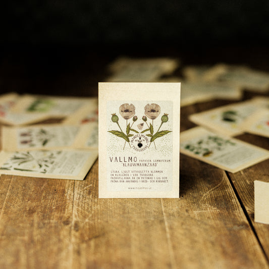 Vallmo ´Blauwmaanzaad´