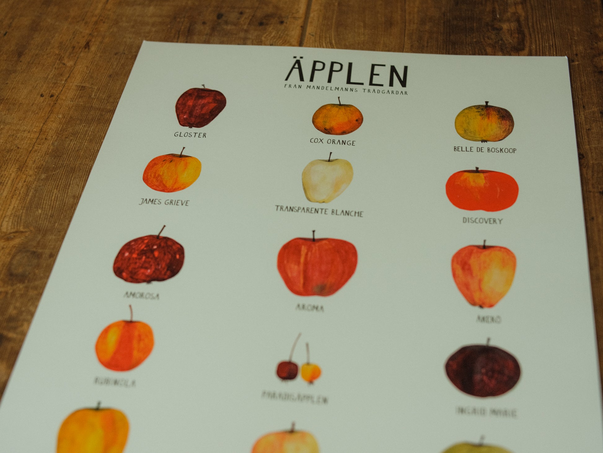Poster med äpplen - svenskt designad trädgårdsaffisch från Mandelmanns