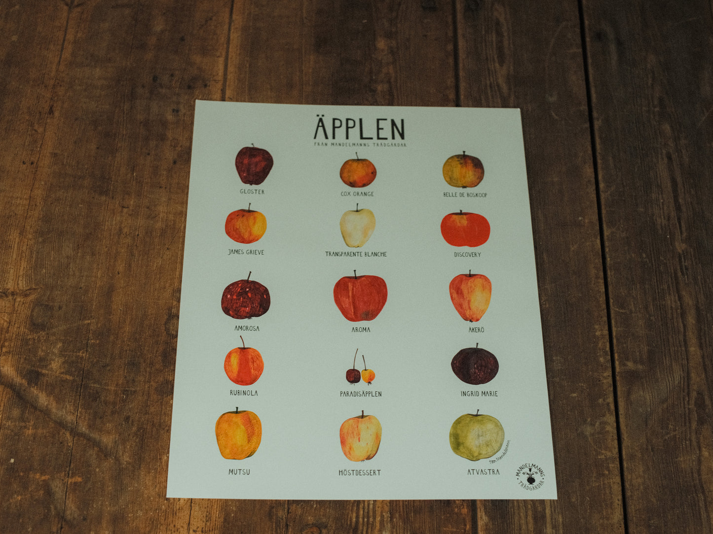 Poster med äpplen - svenskt designad trädgårdsaffisch från Mandelmanns