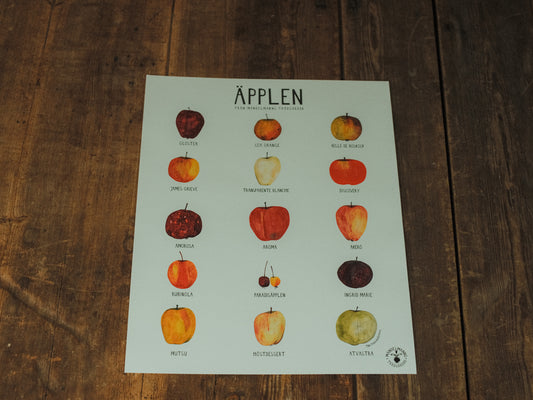 Poster med äpplen - svenskt designad trädgårdsaffisch från Mandelmanns