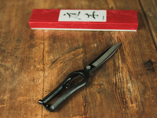 Större Japansk Trädgårdssax