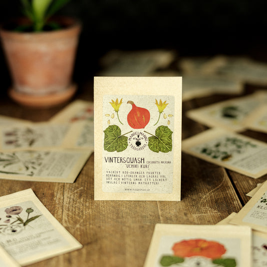 Vintersquash ´Uchiki Kuri´