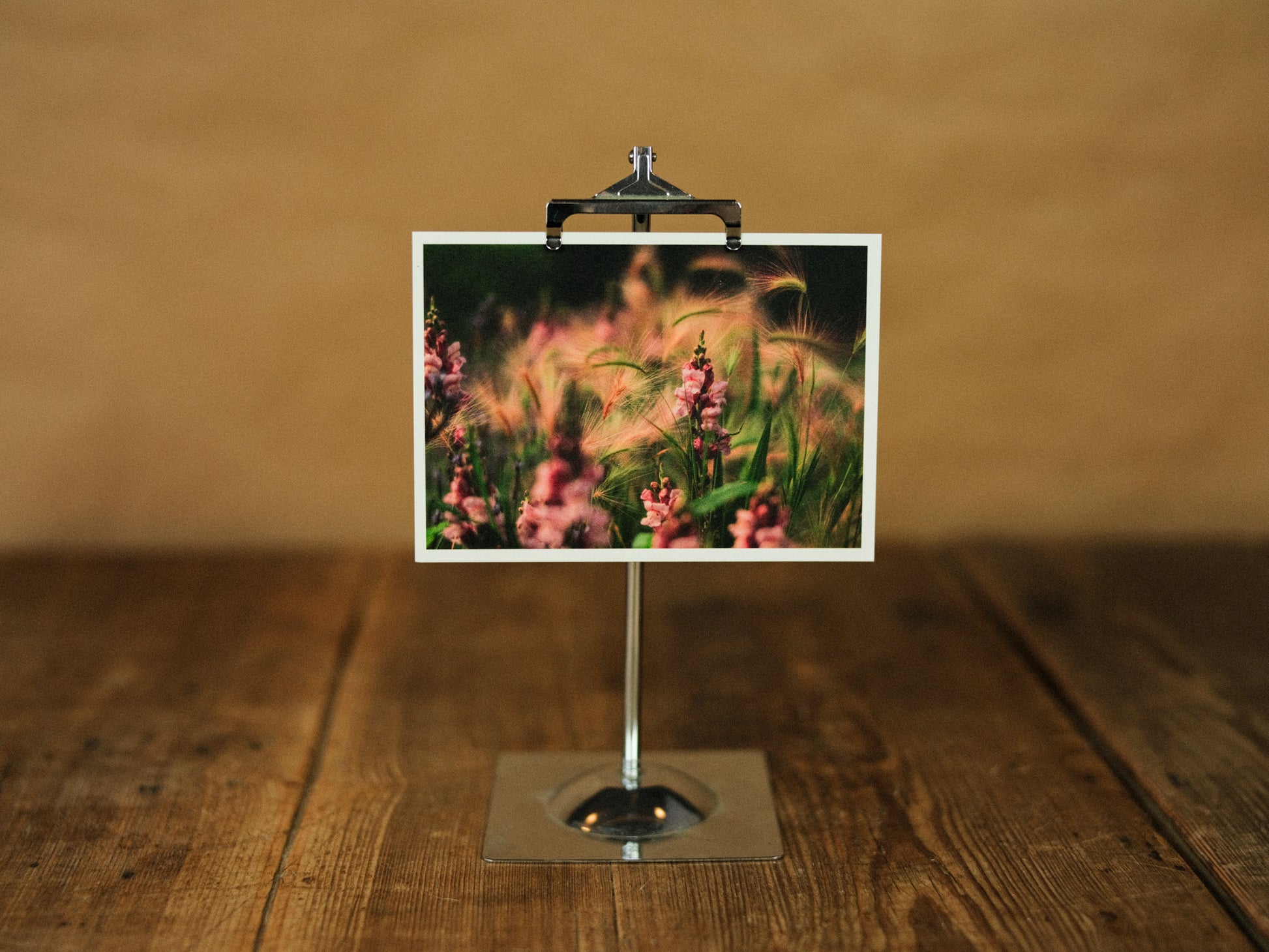 Vykort med ekorrkorn - svenskt designat naturkort från Mandelmanns